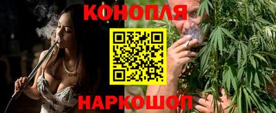 индика Мариинск