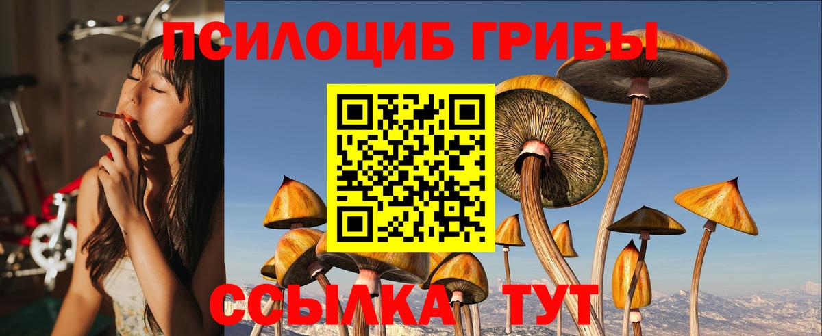 Галлюциногенные грибы мухоморы Жигулёвск